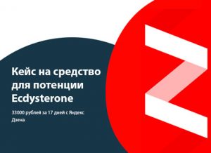 Яндекс дзен кейсы по арбитражу: 33000 рублей за 17 дней